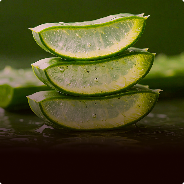 Aloe Vera